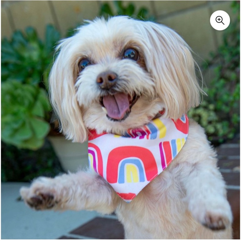 Vibrant Life Bandana Rainbow - Picture 2 of 3
